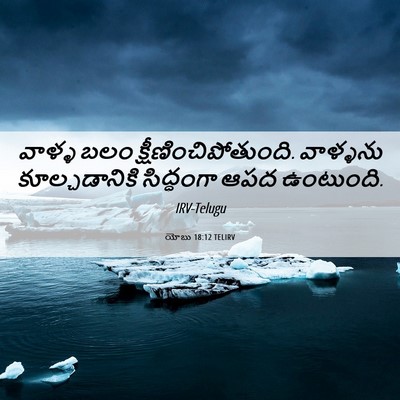 Picture 06 - యోబు 18:12 TELIRV - వాళ్ళ బలం - Bible Verse Picture