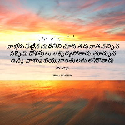 Picture 06 - యోబు 18:20 TELIRV - వాళ్లకు పట్టిన - Bible Verse Picture