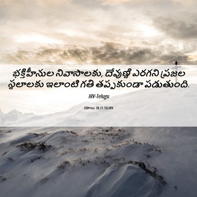 Picture 06 - యోబు 18:21 TELIRV - భక్తిహీనుల - Bible Verse Picture