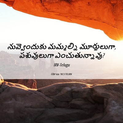 Picture 06 - యోబు 18:3 TELIRV - నువ్వెందుకు - Bible Verse Picture