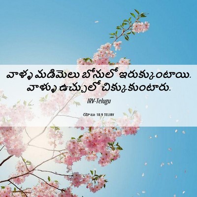 Picture 06 - యోబు 18:9 TELIRV - వాళ్ళ మడిమెలు - Bible Verse Picture
