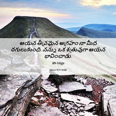 Picture 06 - యోబు 19:11 TELIRV - ఆయన తీవ్రమైన - Bible Verse Picture