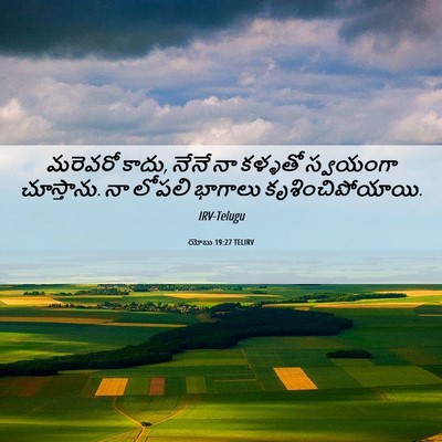 Picture 06 - యోబు 19:27 TELIRV - మరెవరో కాదు, నేనే - Bible Verse Picture
