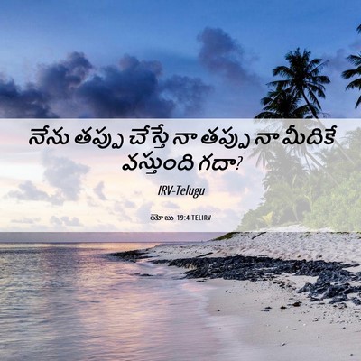 Picture 06 - యోబు 19:4 TELIRV - నేను తప్పు చేస్తే - Bible Verse Picture