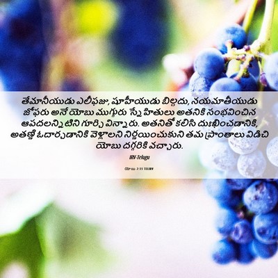 Picture 06 - యోబు 2:11 TELIRV - తేమానీయుడు - Bible Verse Picture