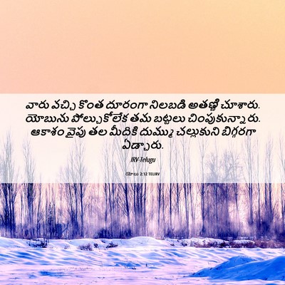 Picture 06 - యోబు 2:12 TELIRV - వారు వచ్చి కొంత - Bible Verse Picture