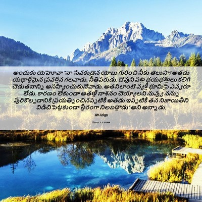 Picture 06 - యోబు 2:3 TELIRV - అందుకు యెహోవా “నా - Bible Verse Picture