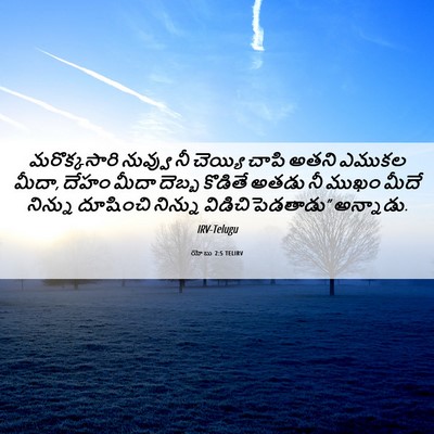 Picture 06 - యోబు 2:5 TELIRV - మరొక్కసారి నువ్వు - Bible Verse Picture