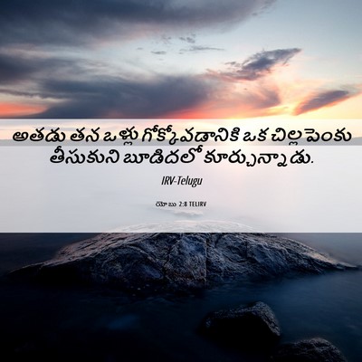Picture 06 - యోబు 2:8 TELIRV - అతడు తన ఒళ్లు - Bible Verse Picture