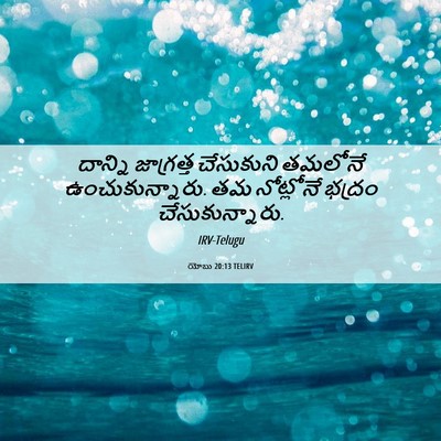 Picture 06 - యోబు 20:13 TELIRV - దాన్ని జాగ్రత్త - Bible Verse Picture