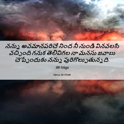 Picture 06 - యోబు 20:3 TELIRV - నన్ను అవమానపరిచే - Bible Verse Picture
