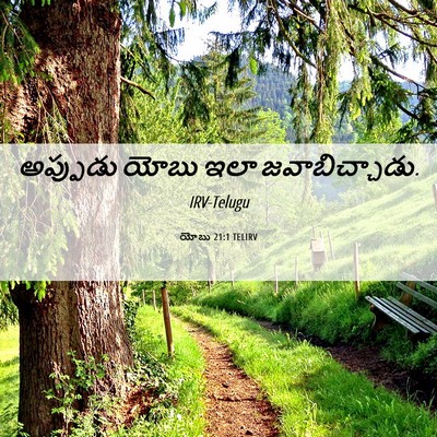 Picture 06 - యోబు 21:1 TELIRV - అప్పుడు యోబు ఇలా - Bible Verse Picture