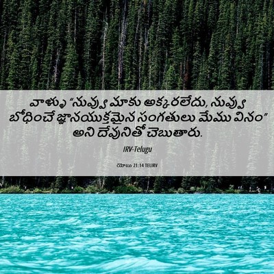 Picture 06 - యోబు 21:14 TELIRV - వాళ్ళు “నువ్వు - Bible Verse Picture