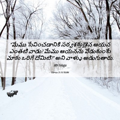 Picture 06 - యోబు 21:15 TELIRV - “మేము - Bible Verse Picture
