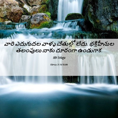 Picture 06 - యోబు 21:16 TELIRV - వారి ఎదుగుదల - Bible Verse Picture