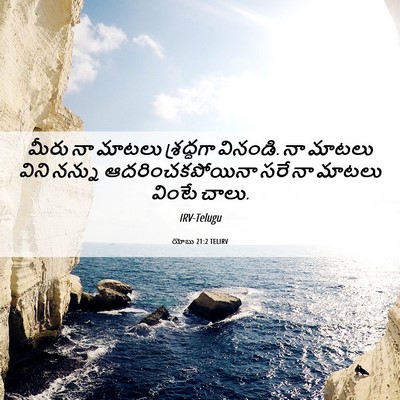Picture 06 - యోబు 21:2 TELIRV - మీరు నా మాటలు - Bible Verse Picture