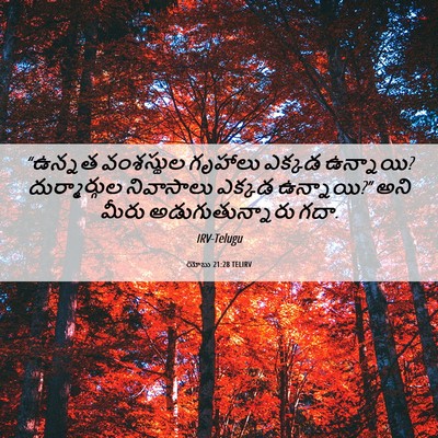 Picture 06 - యోబు 21:28 TELIRV - “ఉన్నత వంశస్థుల - Bible Verse Picture