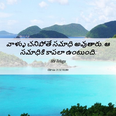 Picture 06 - యోబు 21:32 TELIRV - వాళ్ళు చనిపోతే - Bible Verse Picture