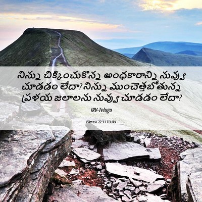 Picture 06 - యోబు 22:11 TELIRV - నిన్ను - Bible Verse Picture