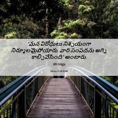 Picture 06 - యోబు 22:20 TELIRV - “మన విరోధులు - Bible Verse Picture