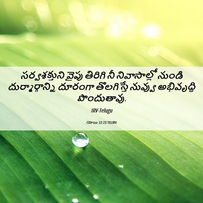 Picture 06 - యోబు 22:23 TELIRV - సర్వశక్తుని వైపు - Bible Verse Picture