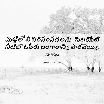 Picture 06 - యోబు 22:24 TELIRV - మట్టిలో నీ - Bible Verse Picture