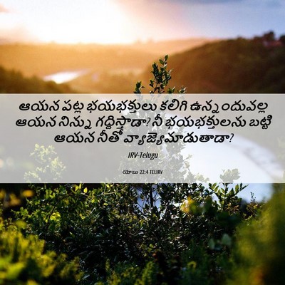 Picture 06 - యోబు 22:4 TELIRV - ఆయన పట్ల - Bible Verse Picture