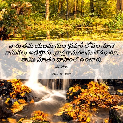 Picture 06 - యోబు 24:11 TELIRV - వారు తమ యజమానుల - Bible Verse Picture