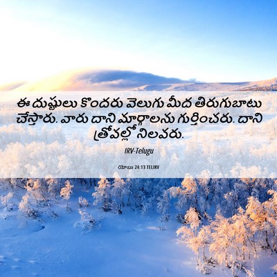 Picture 06 - యోబు 24:13 TELIRV - ఈ దుష్టులు కొందరు - Bible Verse Picture