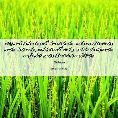 Picture 06 - యోబు 24:14 TELIRV - తెల్లవారే సమయంలో - Bible Verse Picture