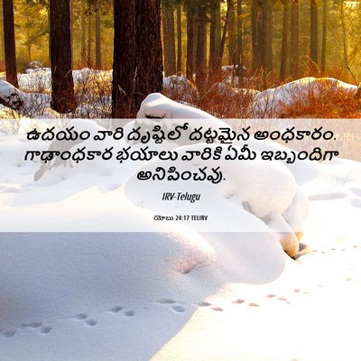 Picture 06 - యోబు 24:17 TELIRV - ఉదయం వారి - Bible Verse Picture