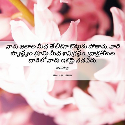 Picture 06 - యోబు 24:18 TELIRV - వారు జలాల మీద - Bible Verse Picture