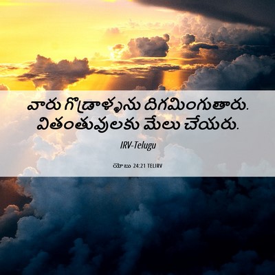 Picture 06 - యోబు 24:21 TELIRV - వారు గొడ్రాళ్ళను - Bible Verse Picture