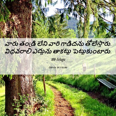 Picture 06 - యోబు 24:3 TELIRV - వారు తండ్రి లేని - Bible Verse Picture