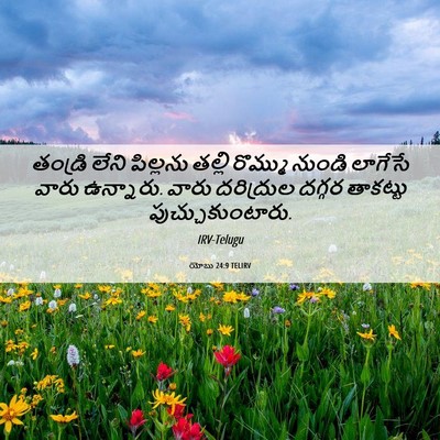 Picture 06 - యోబు 24:9 TELIRV - తండ్రి లేని - Bible Verse Picture
