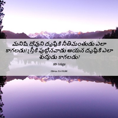 Picture 06 - యోబు 25:4 TELIRV - మనిషి దేవుని - Bible Verse Picture