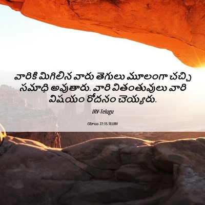 Picture 06 - యోబు 27:15 TELIRV - వారికి మిగిలిన - Bible Verse Picture