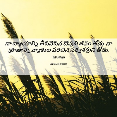 Picture 06 - యోబు 27:2 TELIRV - నా న్యాయాన్ని - Bible Verse Picture