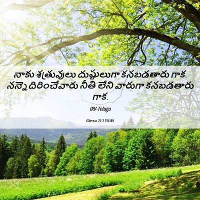 Picture 06 - యోబు 27:7 TELIRV - నాకు శత్రువులు - Bible Verse Picture