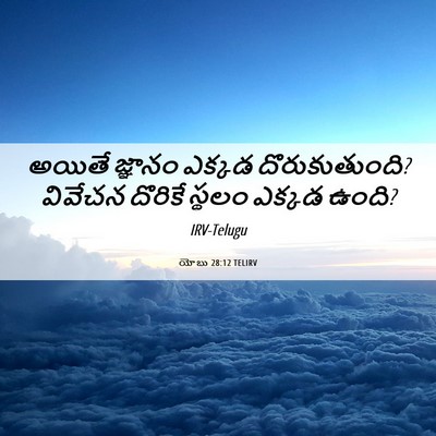 Picture 06 - యోబు 28:12 TELIRV - అయితే జ్ఞానం - Bible Verse Picture