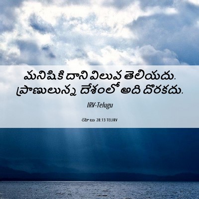 Picture 06 - యోబు 28:13 TELIRV - మనిషికి దాని - Bible Verse Picture