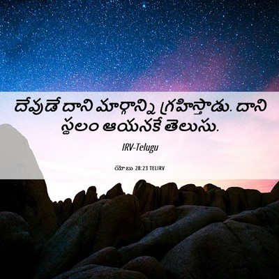 Picture 06 - యోబు 28:23 TELIRV - దేవుడే దాని - Bible Verse Picture