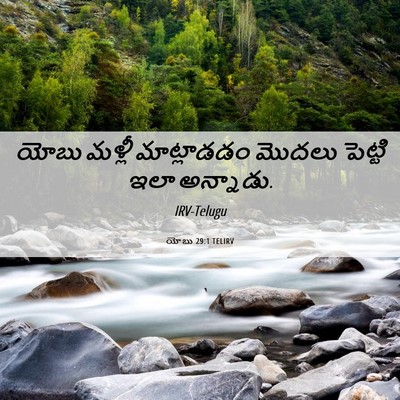 Picture 06 - యోబు 29:1 TELIRV - యోబు మళ్లీ - Bible Verse Picture
