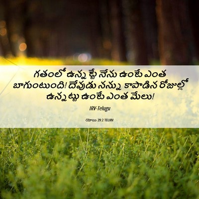 Picture 06 - యోబు 29:2 TELIRV - గతంలో ఉన్నట్టే - Bible Verse Picture