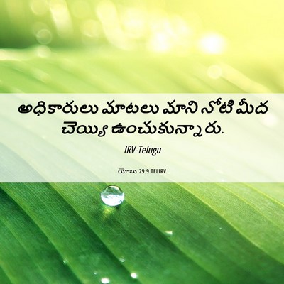 Picture 06 - యోబు 29:9 TELIRV - అధికారులు మాటలు - Bible Verse Picture
