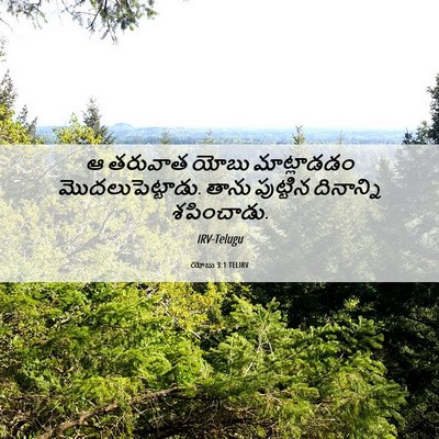 Picture 06 - యోబు 3:1 TELIRV - ఆ తరువాత యోబు - Bible Verse Picture
