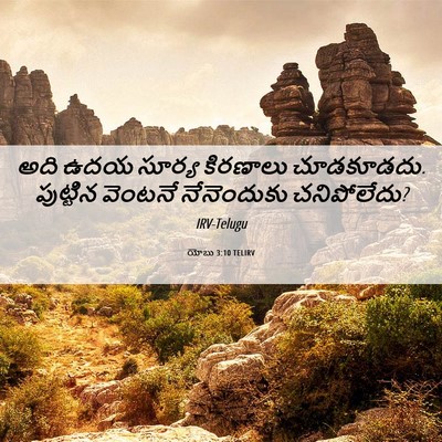 Picture 06 - యోబు 3:10 TELIRV - అది ఉదయ సూర్య - Bible Verse Picture