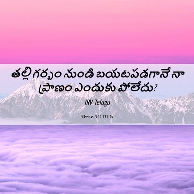 Picture 06 - యోబు 3:11 TELIRV - తల్లి గర్భం నుండి - Bible Verse Picture