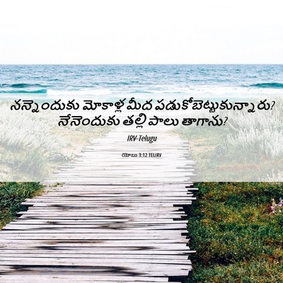 Picture 06 - యోబు 3:12 TELIRV - నన్నెందుకు - Bible Verse Picture