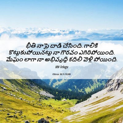 Picture 06 - యోబు 30:15 TELIRV - భీతి నాపై దాడి - Bible Verse Picture